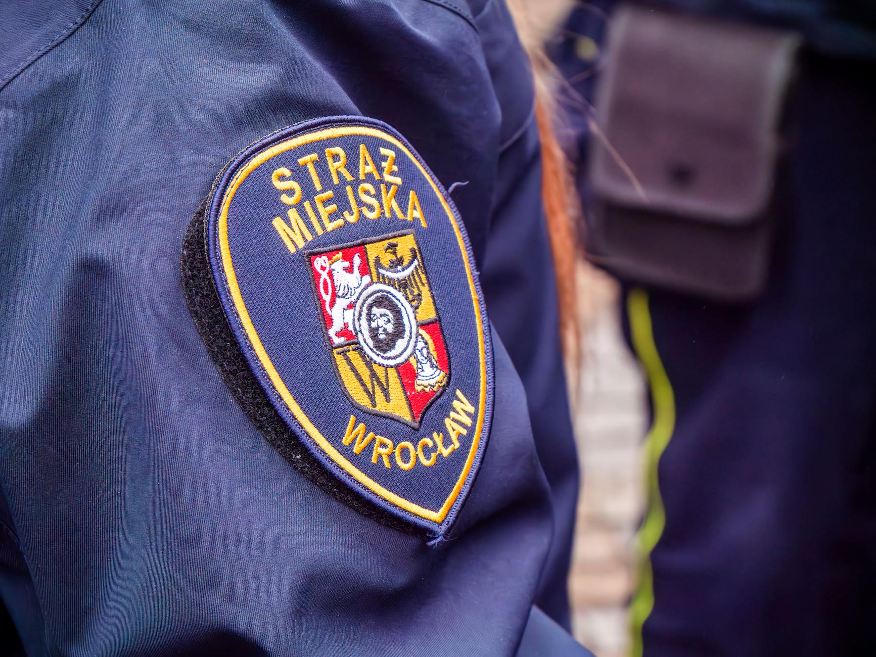 Logo Powiatowego Urzędu Pracy w Mławie jako symbol możliwości zatrudnienia na lokalnym rynku pracy