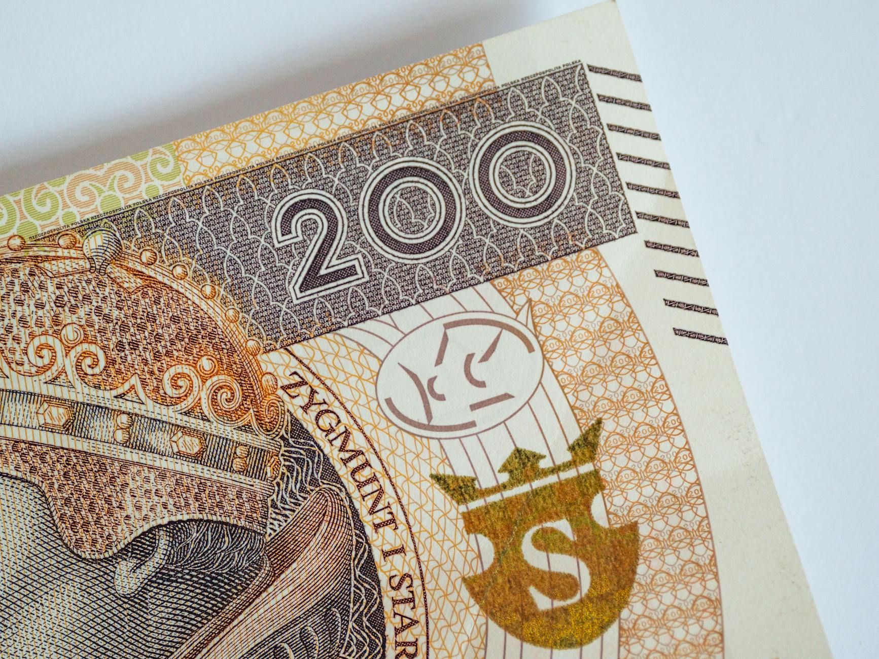 Mława: inicjatywy lokalne dotyczące prawa i pomocy zwierzętom